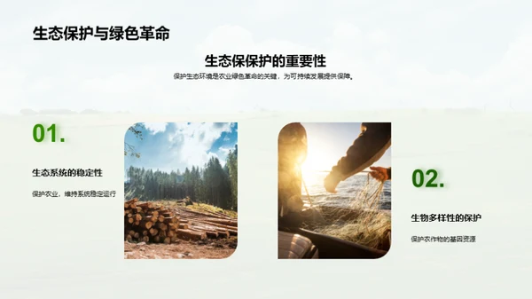 迈向绿色农业