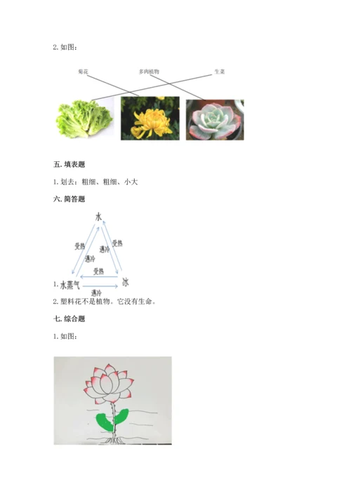 教科版科学一年级上册第一单元《植物》测试卷附答案【培优】.docx