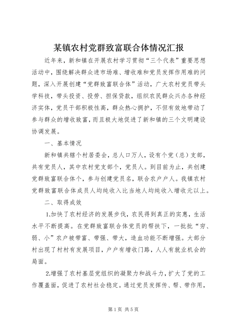 某镇农村党群致富联合体情况汇报.docx