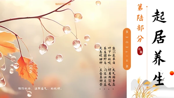 秋色白露节气，秋意浓通用PPT模板