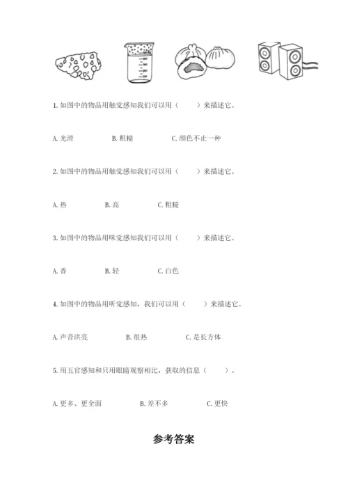 教科版小学科学二年级下册期末测试卷（模拟题）.docx