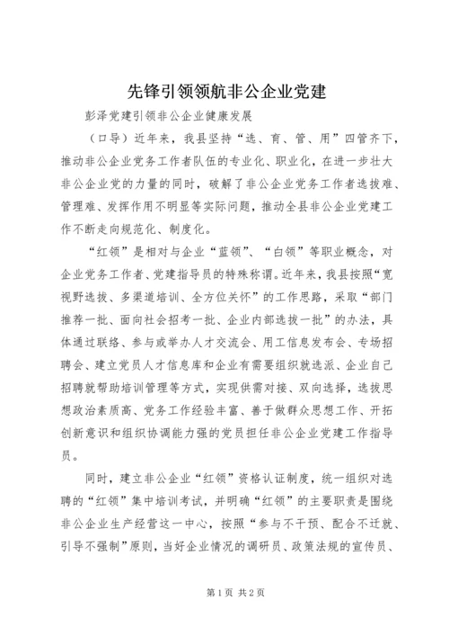 先锋引领领航非公企业党建_1.docx