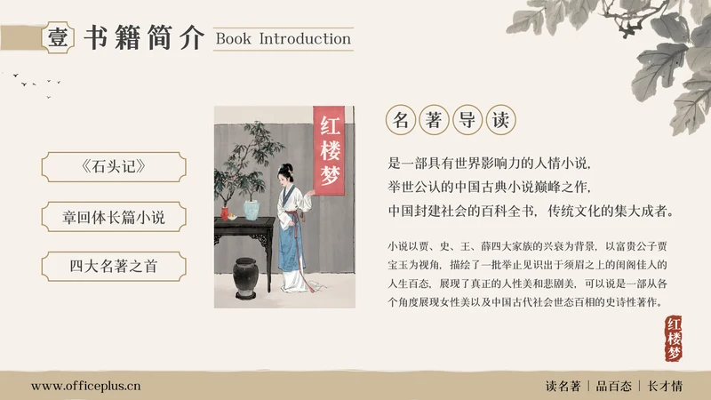 棕色古风红楼梦名著导读