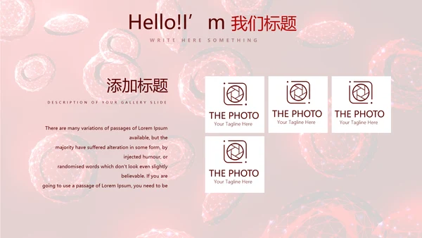 红细胞血小板动态PPT