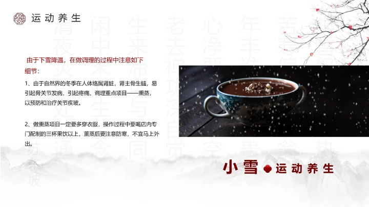 淡雅中国风二十四节气之小雪养生PPT模板