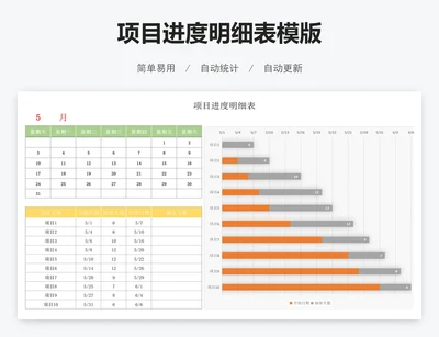 项目进度明细表模版
