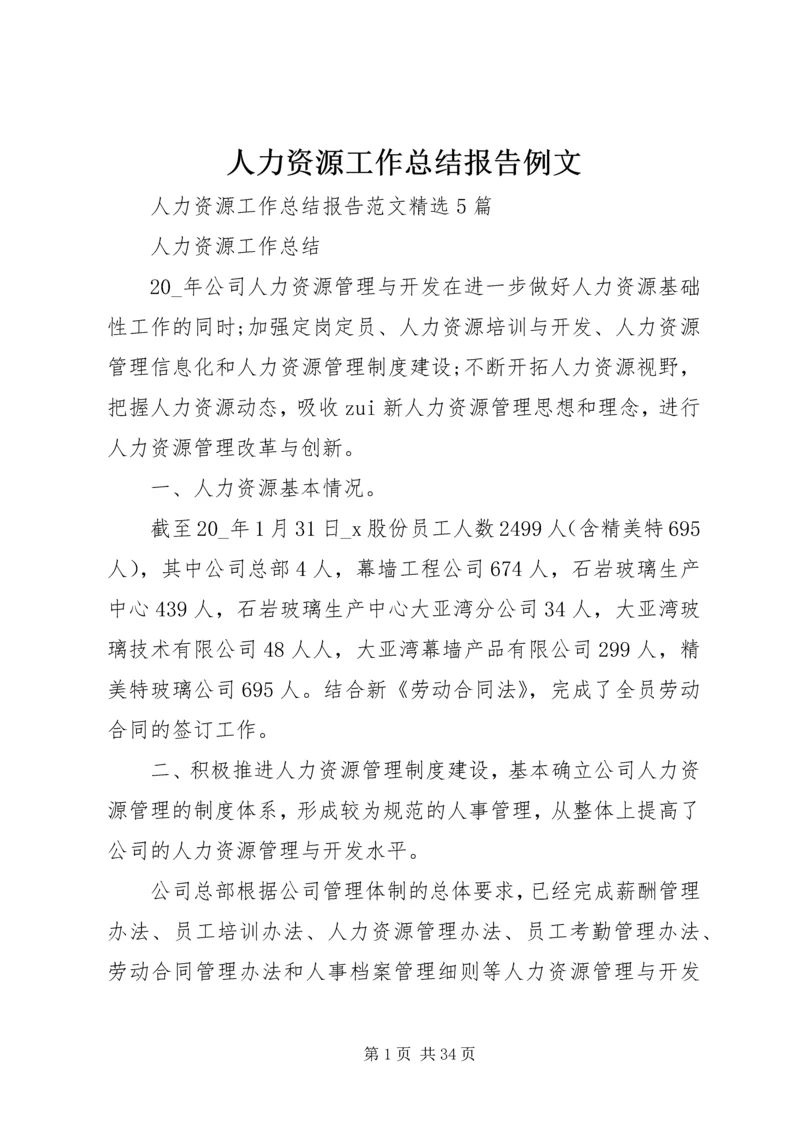 人力资源工作总结报告例文.docx