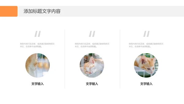 简约风宠物店商业计划书爱宠猫咪PPT模板