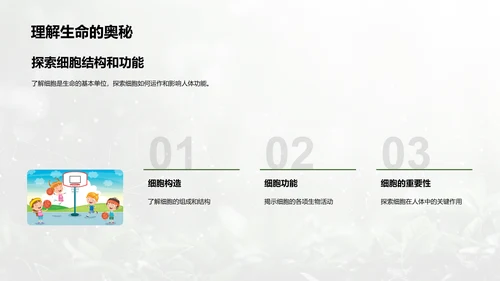 人体系统协作讲座PPT模板
