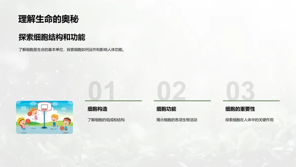 人体系统协作讲座PPT模板