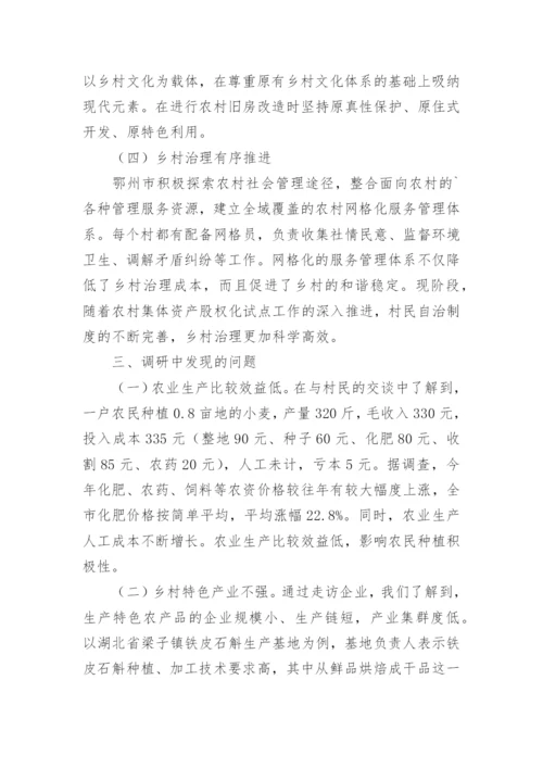 村级乡村振兴调研报告.docx