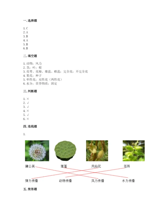 教科版科学四年级下册第一单元《植物的生长变化》测试卷（研优卷）.docx