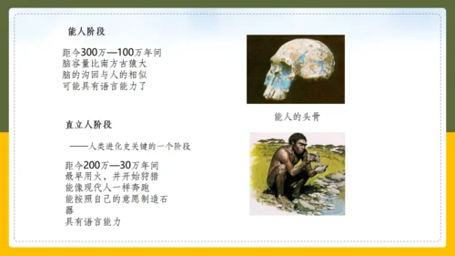 人类的起源和进化生物课通用PPT课件