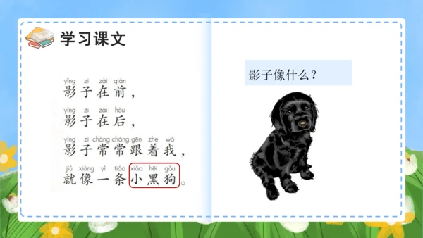 课文5《影子》（教学课件）
