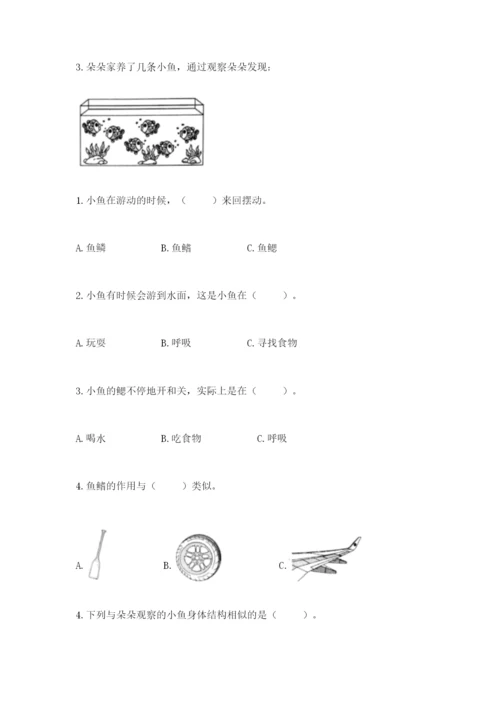 教科版一年级下册科学期末测试卷及完整答案【全国通用】.docx