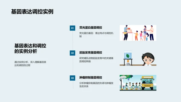 遗传学基础讲解PPT模板