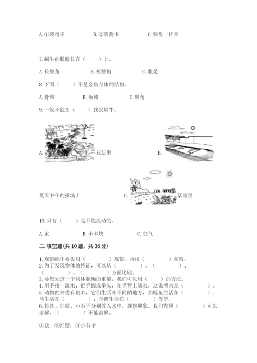 教科版一年级下册科学期末测试卷（全优）.docx