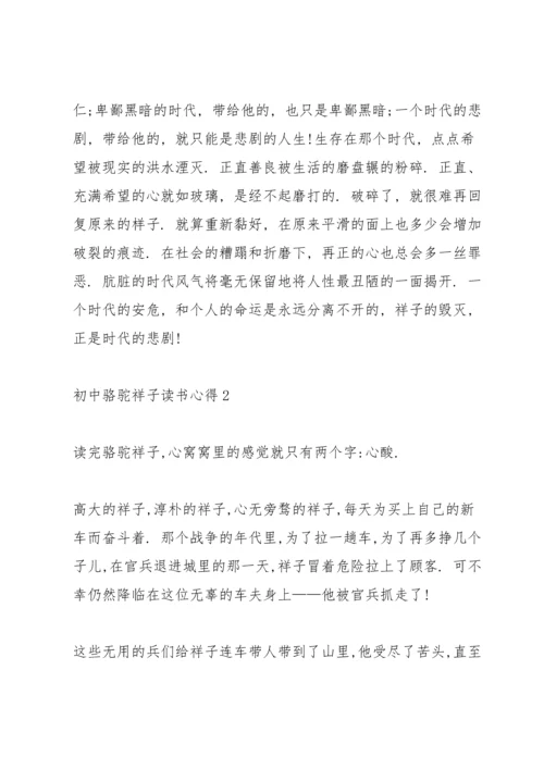 初中生骆驼祥子读书心得4篇.docx