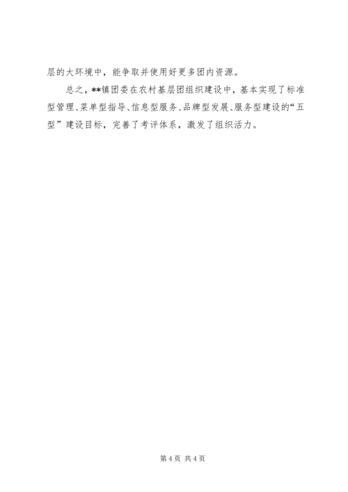 基层团组织建设自查报告.docx