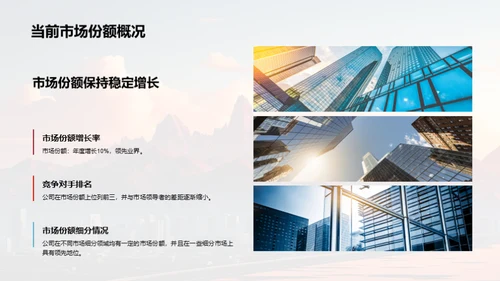 公司历程与前瞻