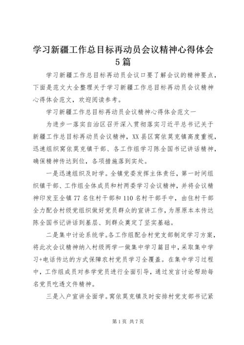 学习新疆工作总目标再动员会议精神心得体会5篇.docx