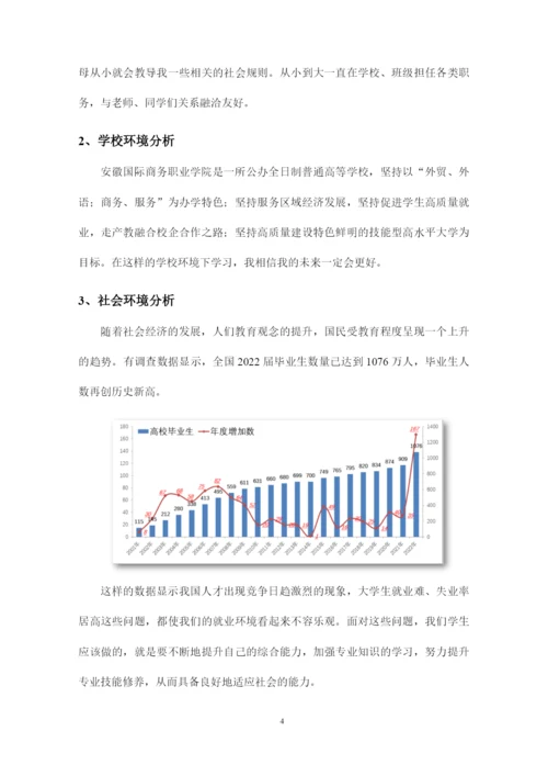 11页3828字计算机应用技术专业职业生涯规划.docx