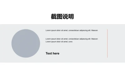 扁平PPT截图说明