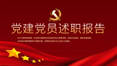 红色党建党员党支部述职报告教育PPT