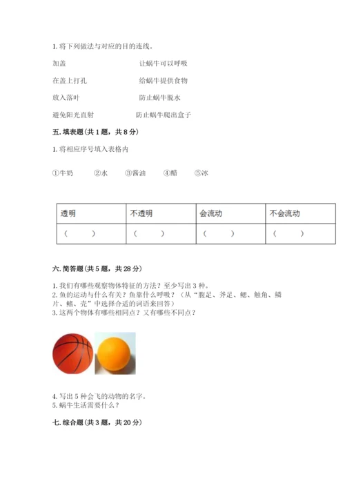 教科版一年级下册科学期末测试卷精品及答案.docx