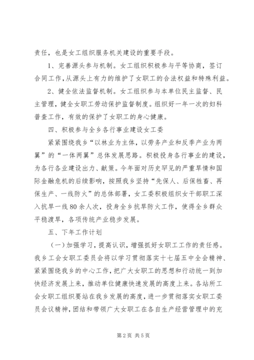 乡镇工会女职工委员会工作总结.docx