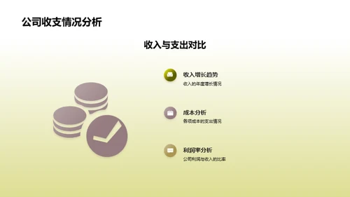 财务解析：20XX年度总结