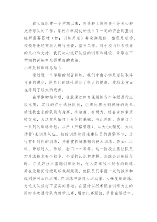 小学足球训练总结.docx