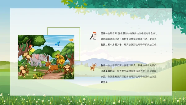 野生动物保护法公益活动宣传森林PPT模板