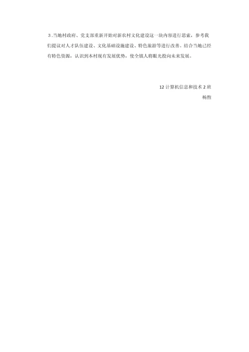 暑期三下乡调研研究报告.docx