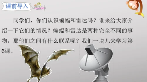 6 夜间飞行的秘密   课件
