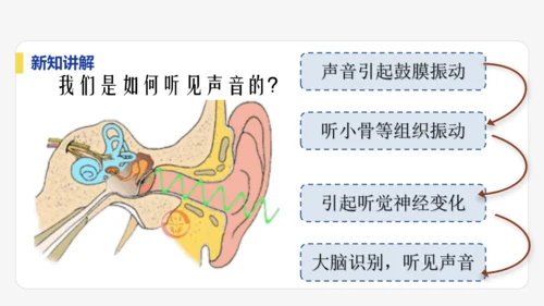 【大单元教学】2.1精品课件：声音的产生与传播（44页，内嵌视频）