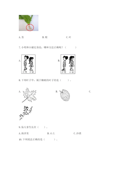 教科版一年级上册科学期末测试卷含完整答案（全优）.docx