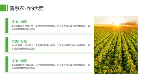 农业发展项目计划书通用PPT模板