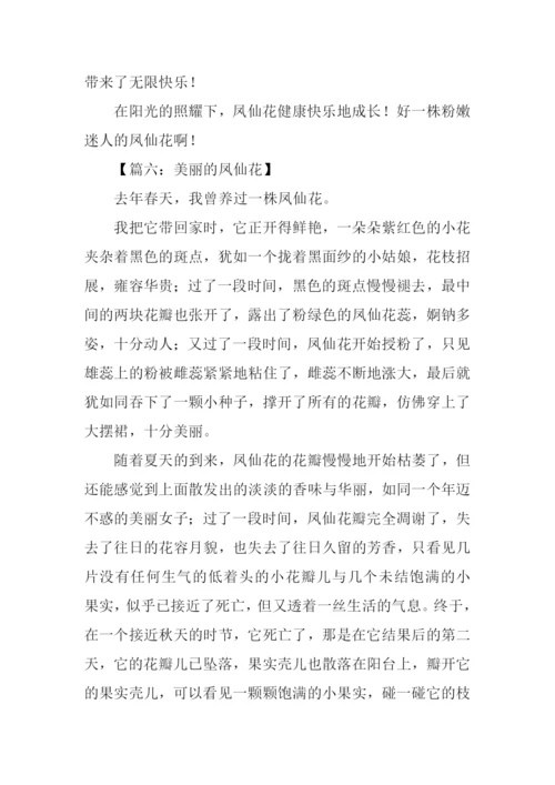 美丽的凤仙花作文400字.docx