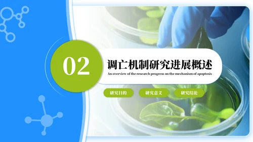 蓝绿色简约风生物学毕业答辩ppt模板