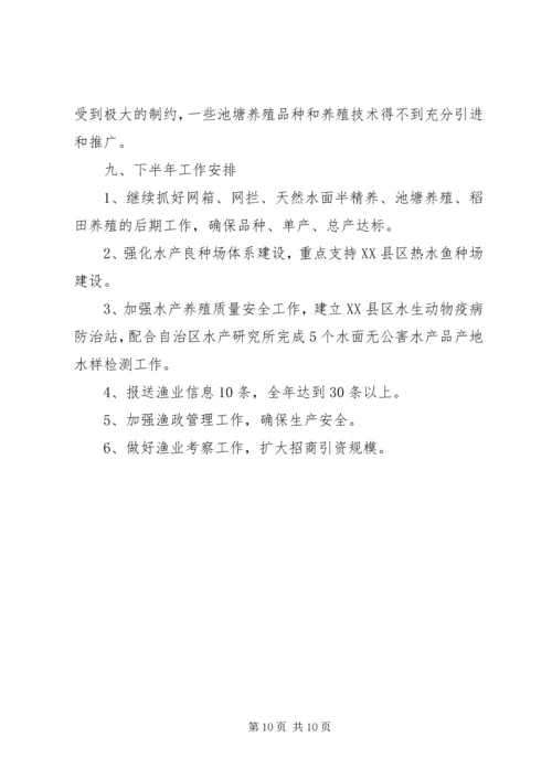 市渔业上半年工作总结及下半年工作计划.docx