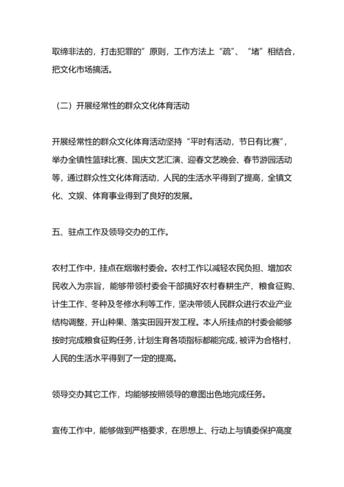 某镇宣传工作总结.docx