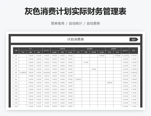 灰色消费计划实际财务管理表