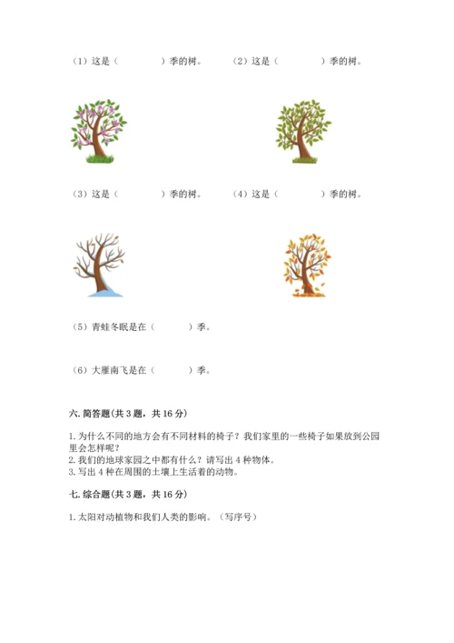 教科版二年级上册科学期末测试卷通用.docx