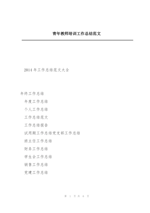 青年教师培训工作总结范文.docx