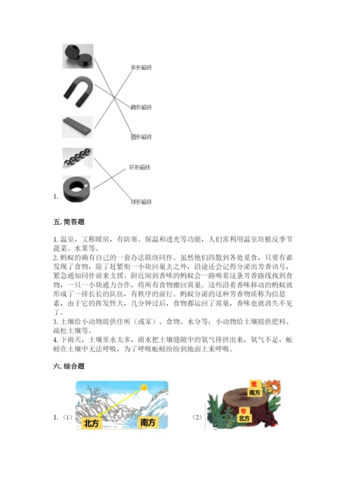 苏教版二年级下册科学期末考试试卷附答案解析.docx