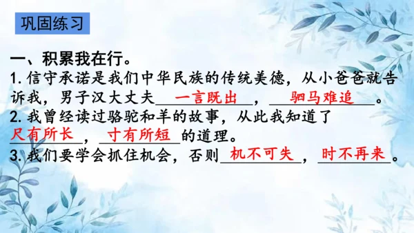 部编版语文四年级上册第六单元复习课件