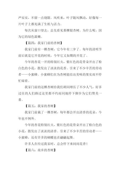 杏树作文100字0.docx