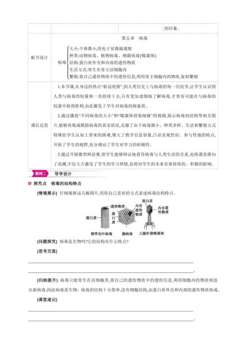 5.5病毒【2024秋人教八上生物精彩课堂（素材+教案+导学案）】