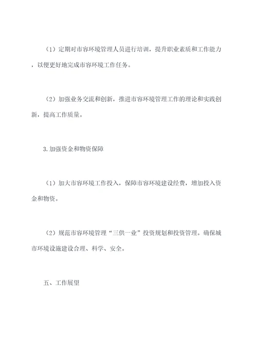 街道市容环境工作计划